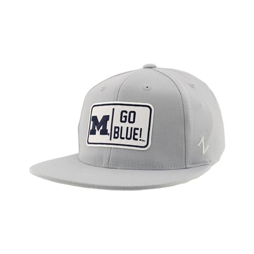 Michigan Wolverines NCAA Officially Licensed Fitted Hat M15Z Defer Light Gray, Large