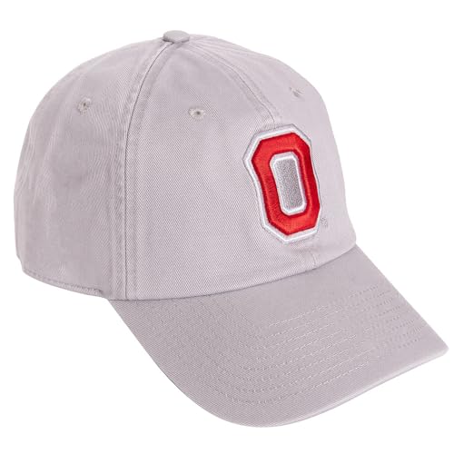 Desert Cactus The Ohio State University Embroidered Baseball Hat (B1) Grey
