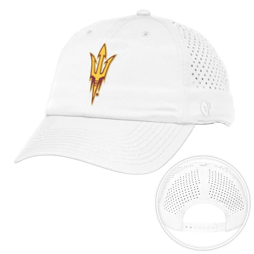 Desert Cactus Arizona State Sun Devils Snapback Baseball Hat (BP1-White)