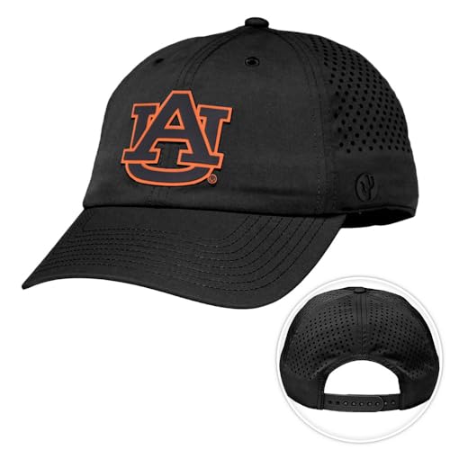Desert Cactus Auburn University Tigers Snapback Baseball Hat (BP1-Black)