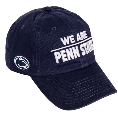 Desert Cactus Penn State University Embroidered Baseball Hat (H1) Purple