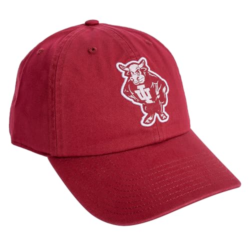 Desert Cactus Indiana University Embroidered Baseball Hat (R1 Vintage) | Officially Licensed IU Hoosiers Cotton Baseball Cap Brimmed Embroidered with Snapback Strap, Men Women Fan Gift Merch