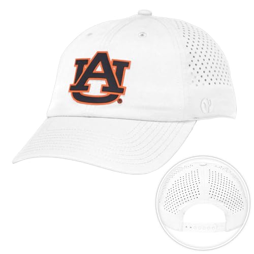 Desert Cactus Auburn University Tigers Snapback Baseball Hat (BP1-White)