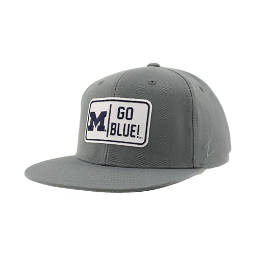 Michigan Wolverines NCAA Officially Licensed Hat Flat Snapback Z11 Defer Gray