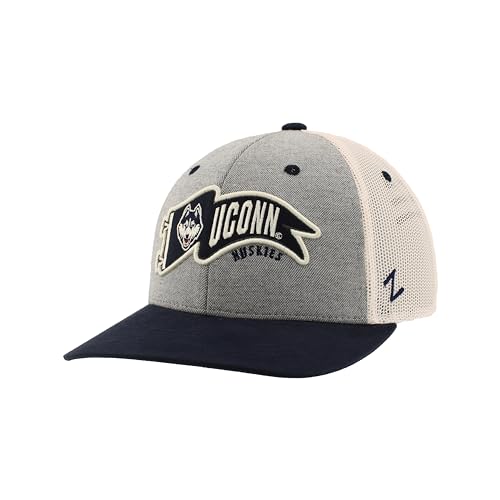 Zephyr Standard NCAA Officially Licensed Hat Snapback Estate Renown, Gray