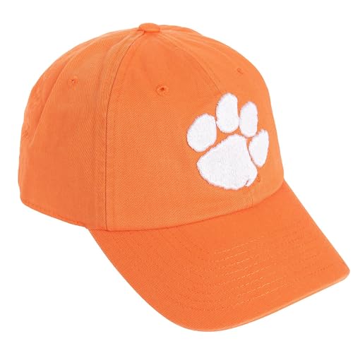 Desert Cactus Clemson University Tigers Embroidered Baseball Hat (A1)