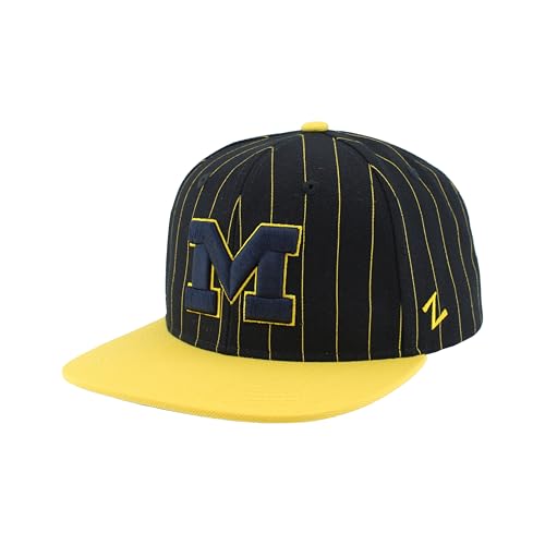 Michigan Wolverines NCAA Officially Licensed Adjustable Snapback Hat Flat Bill Z11 Retro Pinstripe Team Color