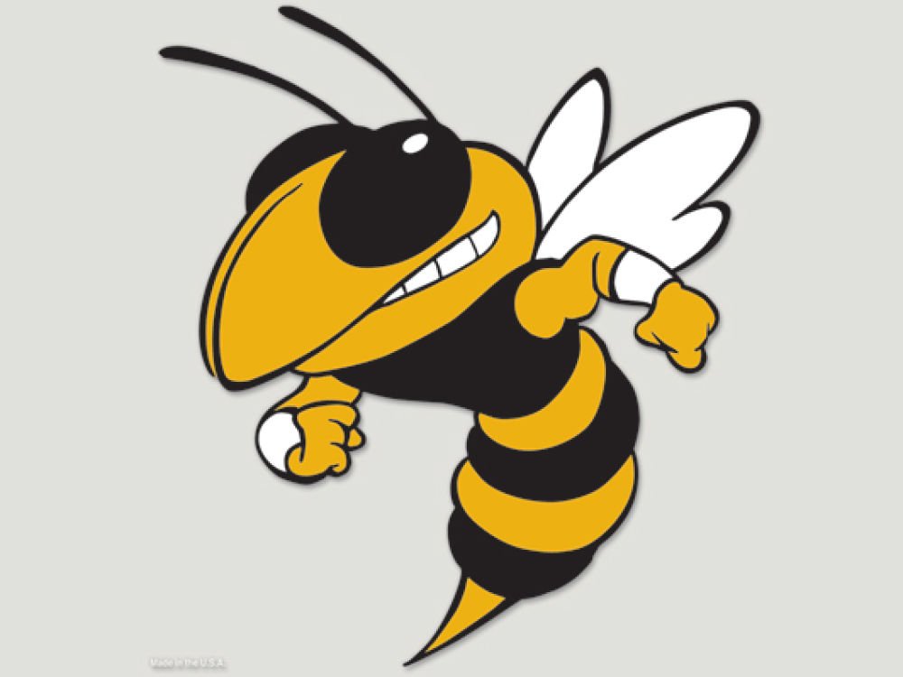 Wincraft NCAA Georgia Tech Perfect Cut Color Decal, 8" x 8"