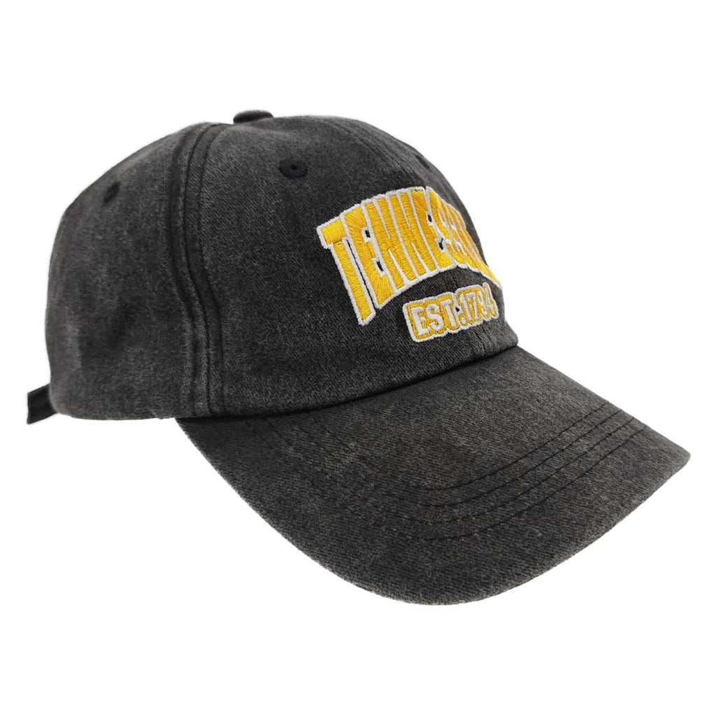 Embroidered Vintage Washed Hat for Men Women，Classic Unisex Adjustable Cotton Fans Baseball Cap