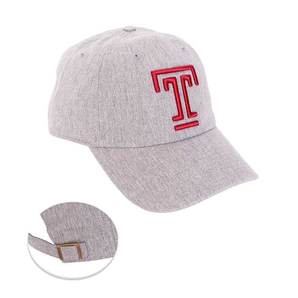Desert Cactus Temple University Baseball Hat TU Owls Brimmed Embroidered Hats Cap Adjustable Cloth Strap Adult (Style D) Grey