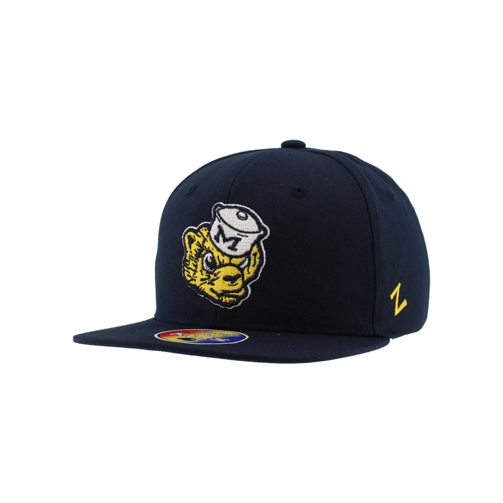 Michigan Wolverines NCAA Officially Licensed Youth Adjustable Hat Z11 Vault