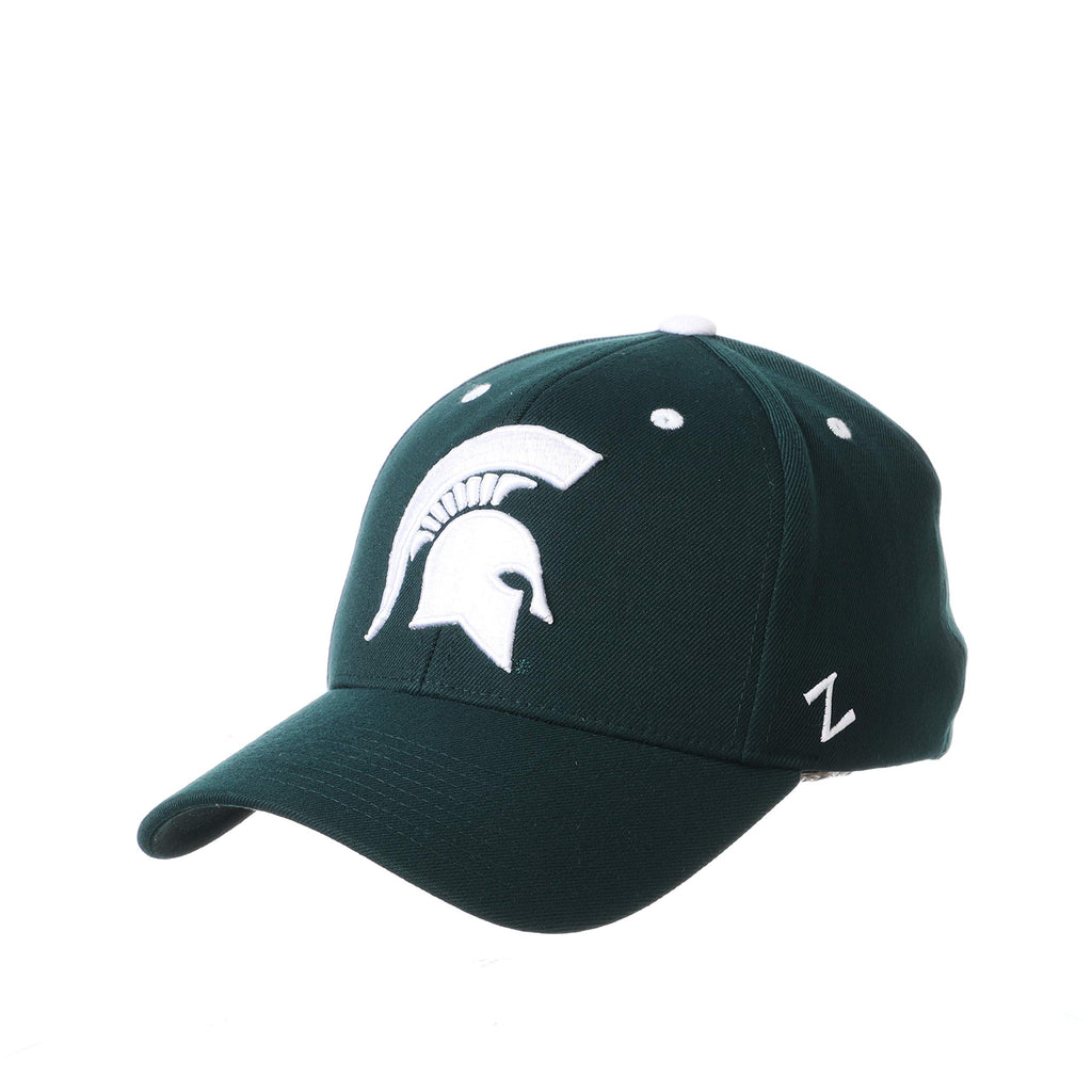 Zephyr ZHATS Men's Standard Stretch Fitted Hat Team Color, Large