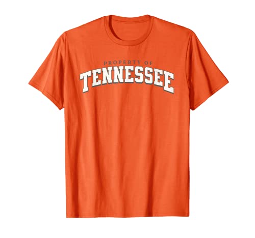 Retro Tennessee TN Orange Vintage Design Classic Distressed T-Shirt
