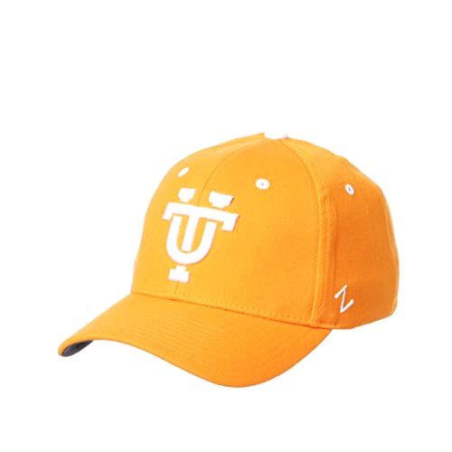 Zephyr Men's Standard Stretch Fitted Hat Vault, Team Color, Large