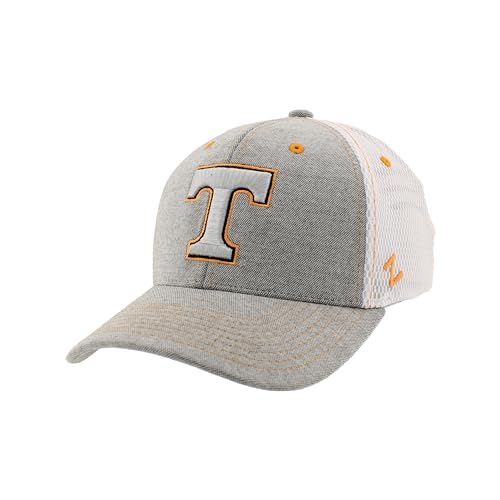 Zephyr Men's Standard NCAA Officially Licensed Hat Fitted Chaser Typhoon, Gray