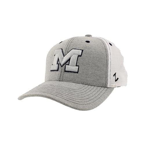 Zephyr Men's Standard NCAA Officially Licensed Hat Fitted Chaser Typhoon, Gray