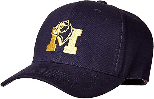 Collegiate Hats - Fitted Caps Adjustable Hats and Snapbacks Available (XL Fitted Hat, Michigan)
