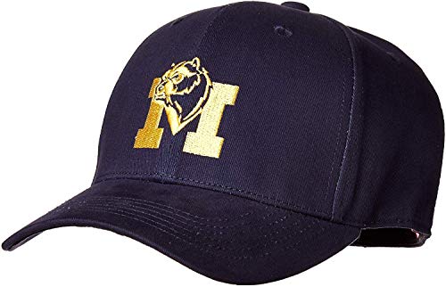 Collegiate Hats - Fitted Caps Dad Hats and Snapbacks Available (Medium Fitted Hat, Michigan)