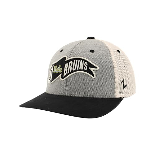 Zephyr Standard NCAA Officially Licensed Hat Snapback Estate Renown, Gray, One Size