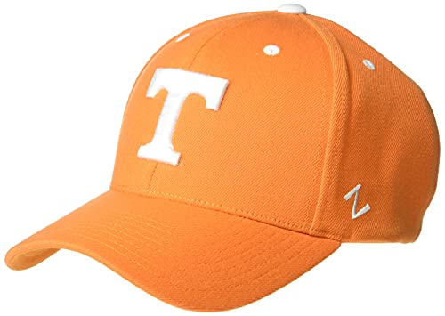 Zephyr Men's Standard Stretch Fitted Hat Team Color, Medium