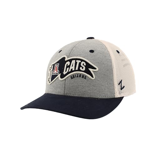 Zephyr Standard NCAA Officially Licensed Hat Snapback Estate Renown, Gray, One Size