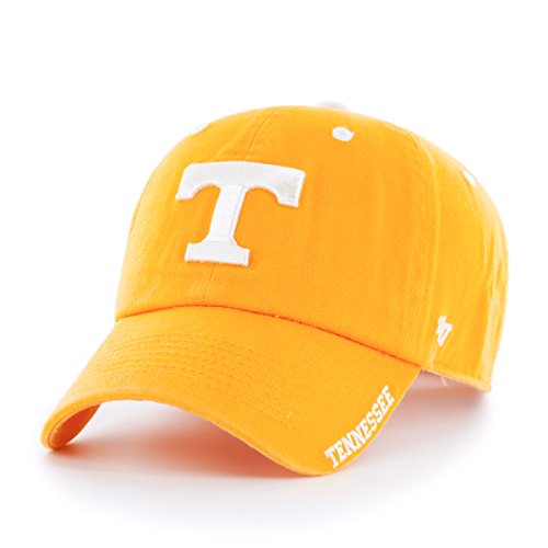 NCAA Tennessee Ice Adjustable Cap