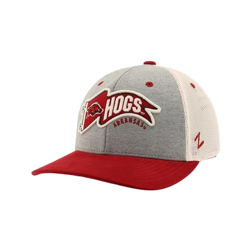 Zephyr Standard NCAA Officially Licensed Hat Snapback Estate Renown, Gray, One Size