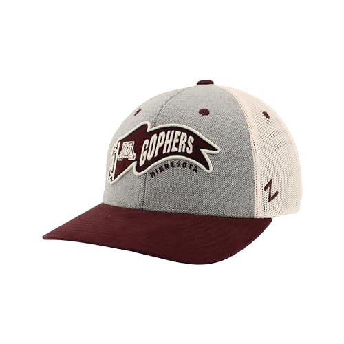Zephyr Standard NCAA Officially Licensed Hat Snapback Estate Renown, Gray, One Size
