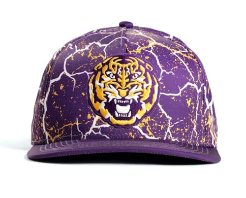 Dyme Lyfe Mens LSU Storm Snapback Hat OSFM Purple