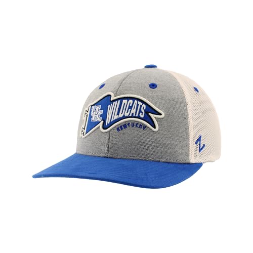 Zephyr Standard NCAA Officially Licensed Hat Snapback Estate Renown, Gray, One Size