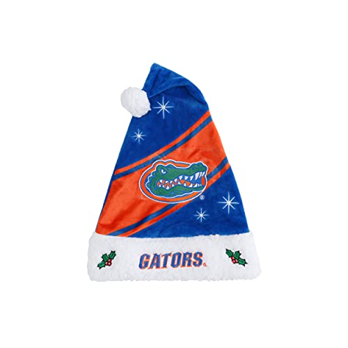 FOCO Florida Gators NCAA High End Santa Hat