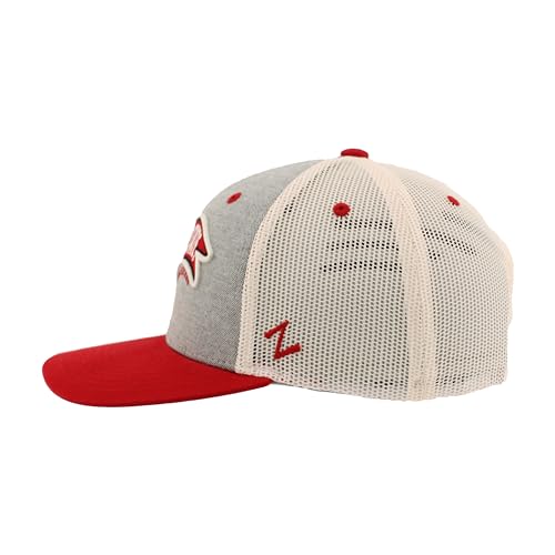 Zephyr Michigan State Spartans Snapback Hat - Officially Licensed NCAA, Gray