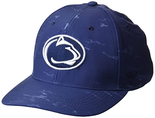 Top of the World Men's Standard OHT01 Poly Span Curved Bill, Camo, OSFM