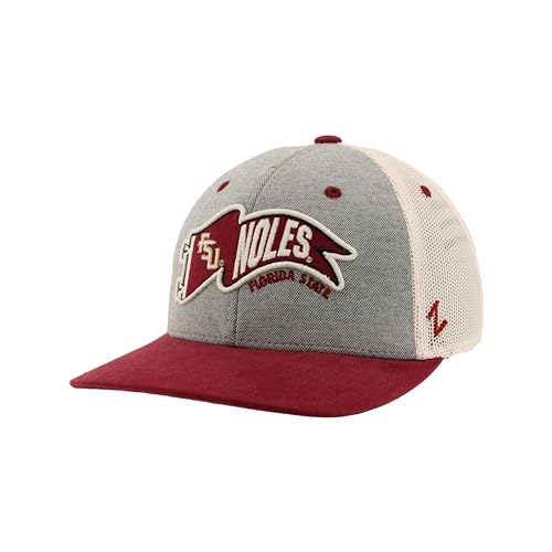 Zephyr Standard NCAA Officially Licensed Hat Snapback Estate Renown, Gray, One Size